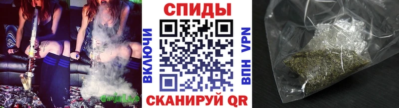 OMG зеркало  Инта  Бутират буратино 