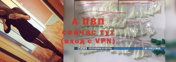 шишки Дмитров