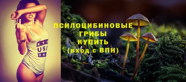 шишки Дмитров