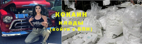 шишки Дмитров