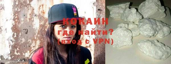 шишки Дмитров