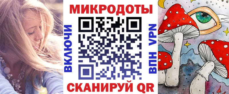 где купить   Инта  Галлюциногенные грибы Psilocybine cubensis 